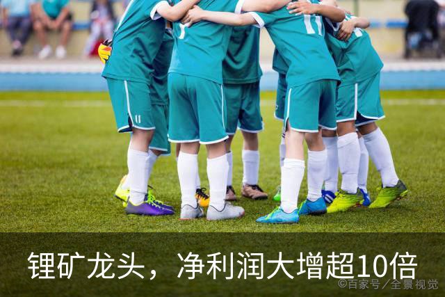 锂矿龙头，净利润大增超10倍